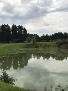 IMG-20220724-WA0011