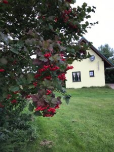 IMG-20220724-WA0012